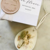 Cleanse Gourmet